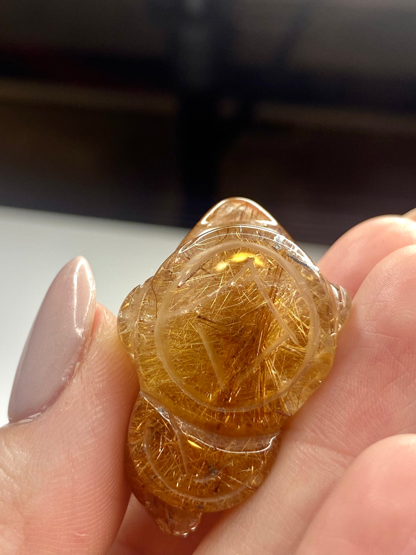 Money Toad Golden Rutile