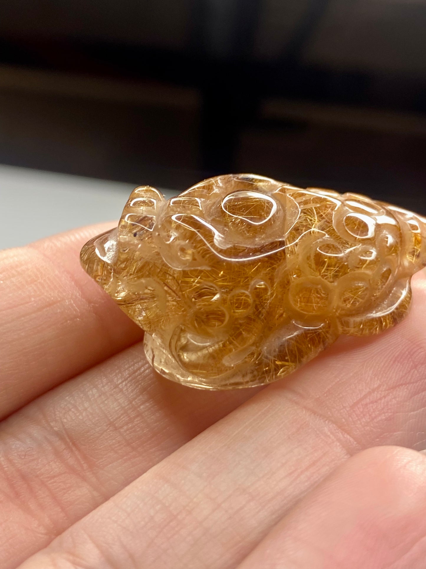 Money Toad Golden Rutile