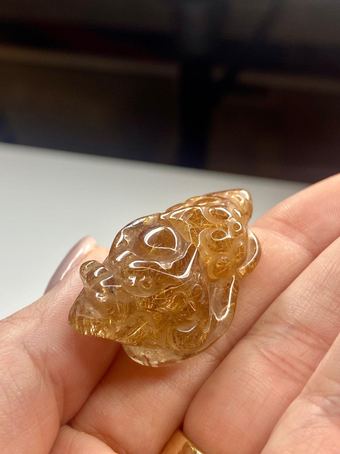 Money Toad Golden Rutile