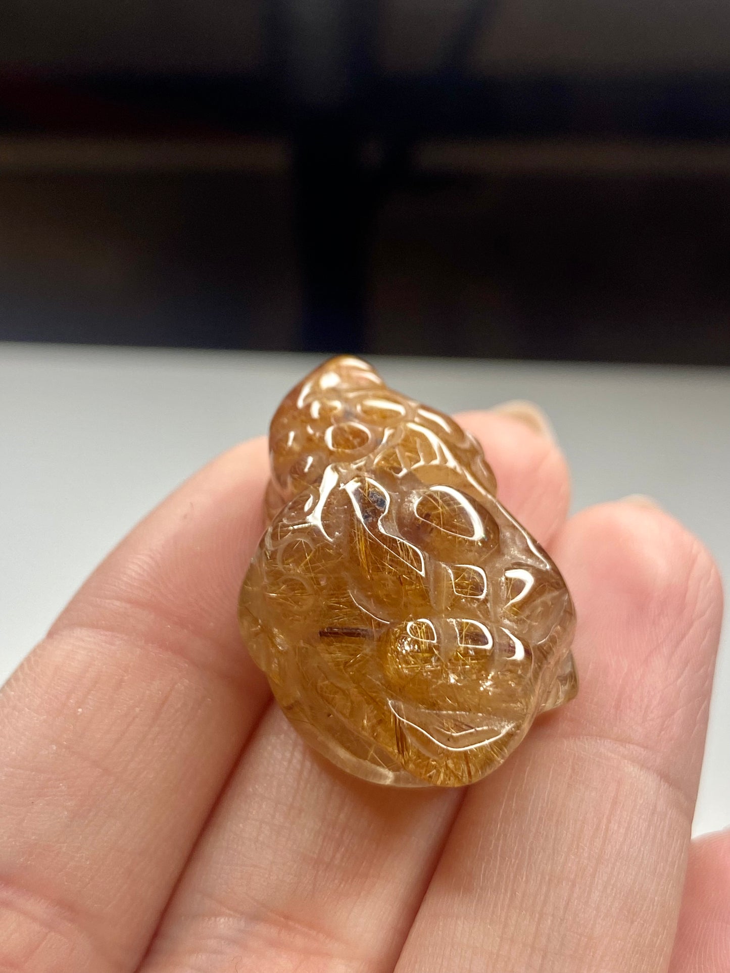 Money Toad Golden Rutile