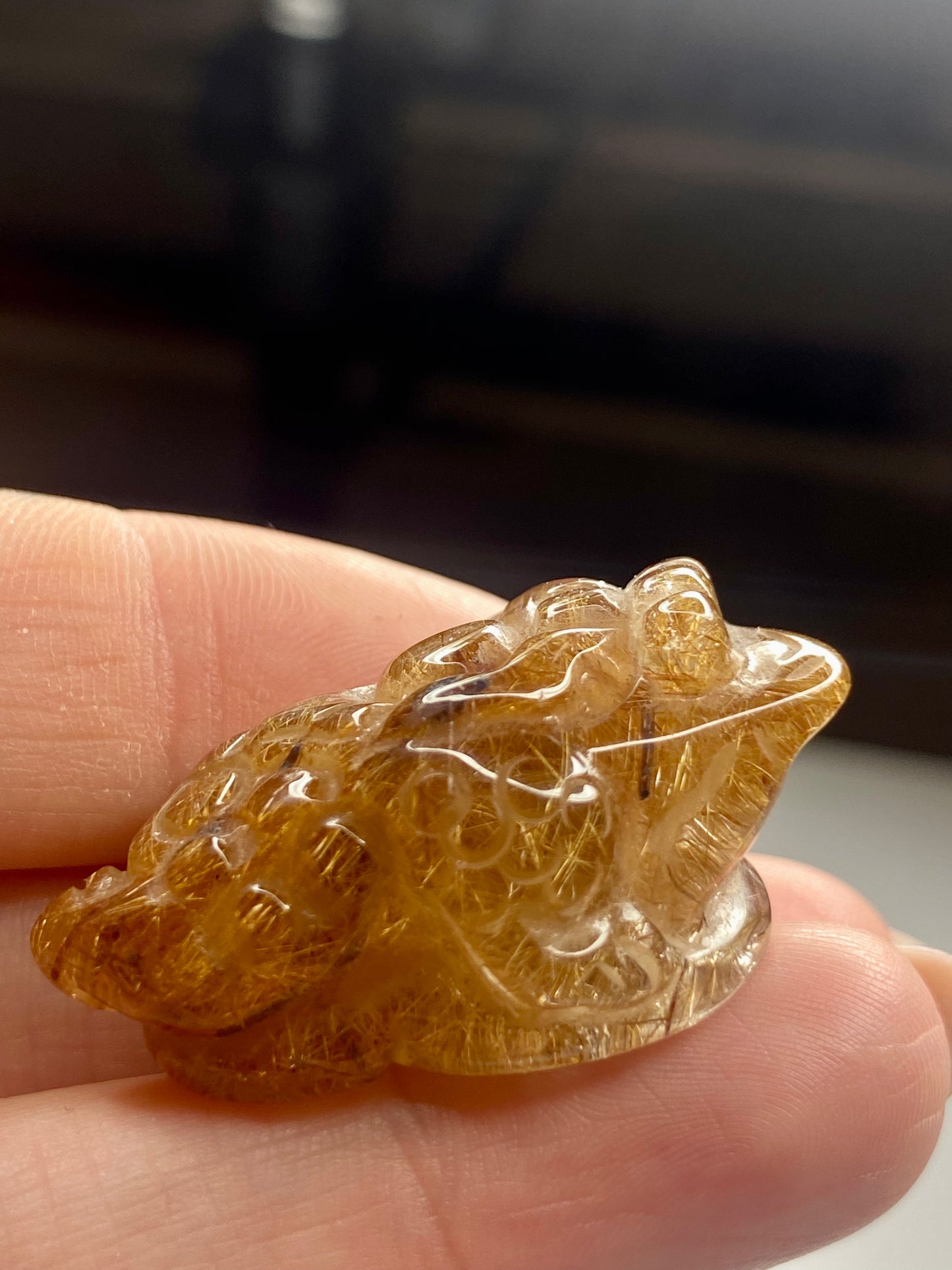 Money Toad Golden Rutile